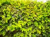 we-have-a-passion-for-nature-and-environmental-sustainability