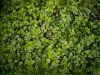 we-have-a-passion-for-nature-and-environmental-sustainability