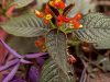 we-have-a-passion-for-nature-and-environmental-sustainability