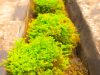 we-have-a-passion-for-nature-and-environmental-sustainability