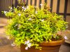 we-have-a-passion-for-nature-and-environmental-sustainability